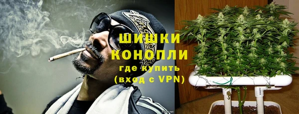ПСИЛОЦИБИНОВЫЕ ГРИБЫ Нязепетровск